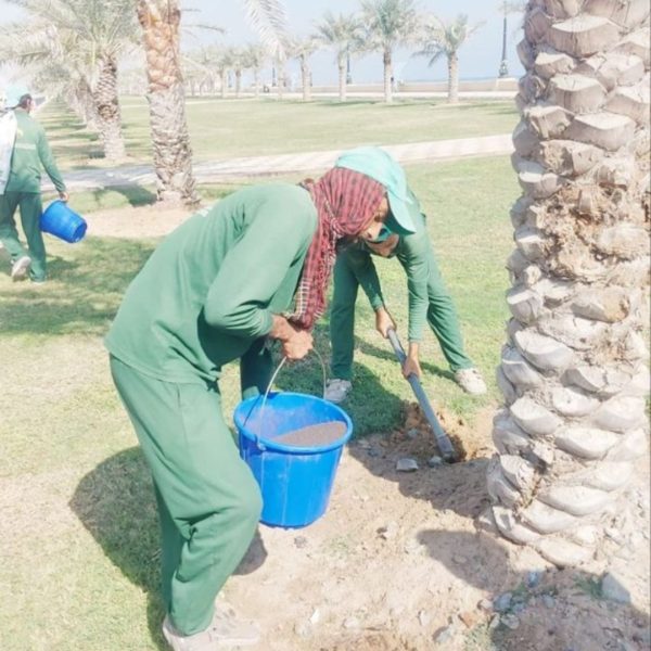 Fish Fertilizer - Image 2